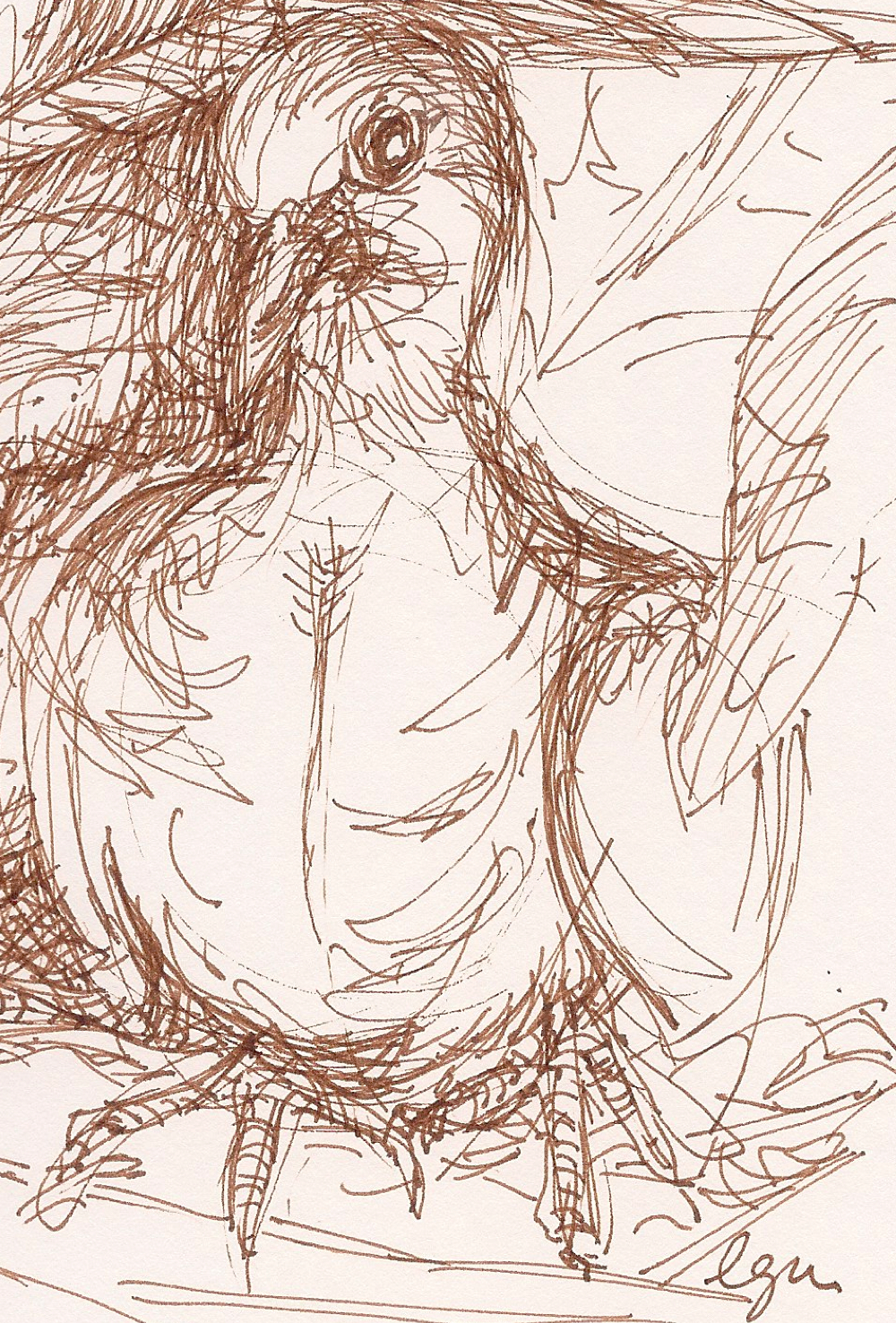 sketch of dove by lynn